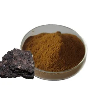 shilajit-extract54541229893-r3m1o6t1ful8jkx3a7ehphrkfiokjyd3st564j26jw.webp